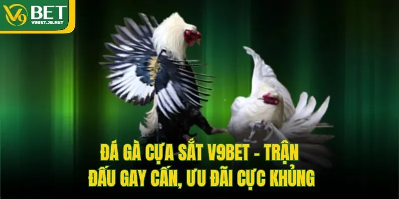 Đá gà cựa sắt